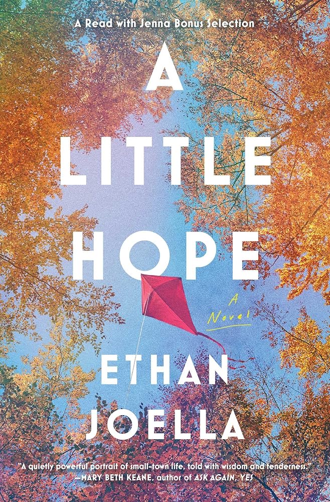 A Little Hope: A Novel cover image