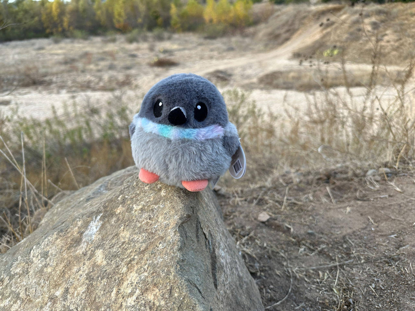 Pigeon Stress Borb 4.5"
