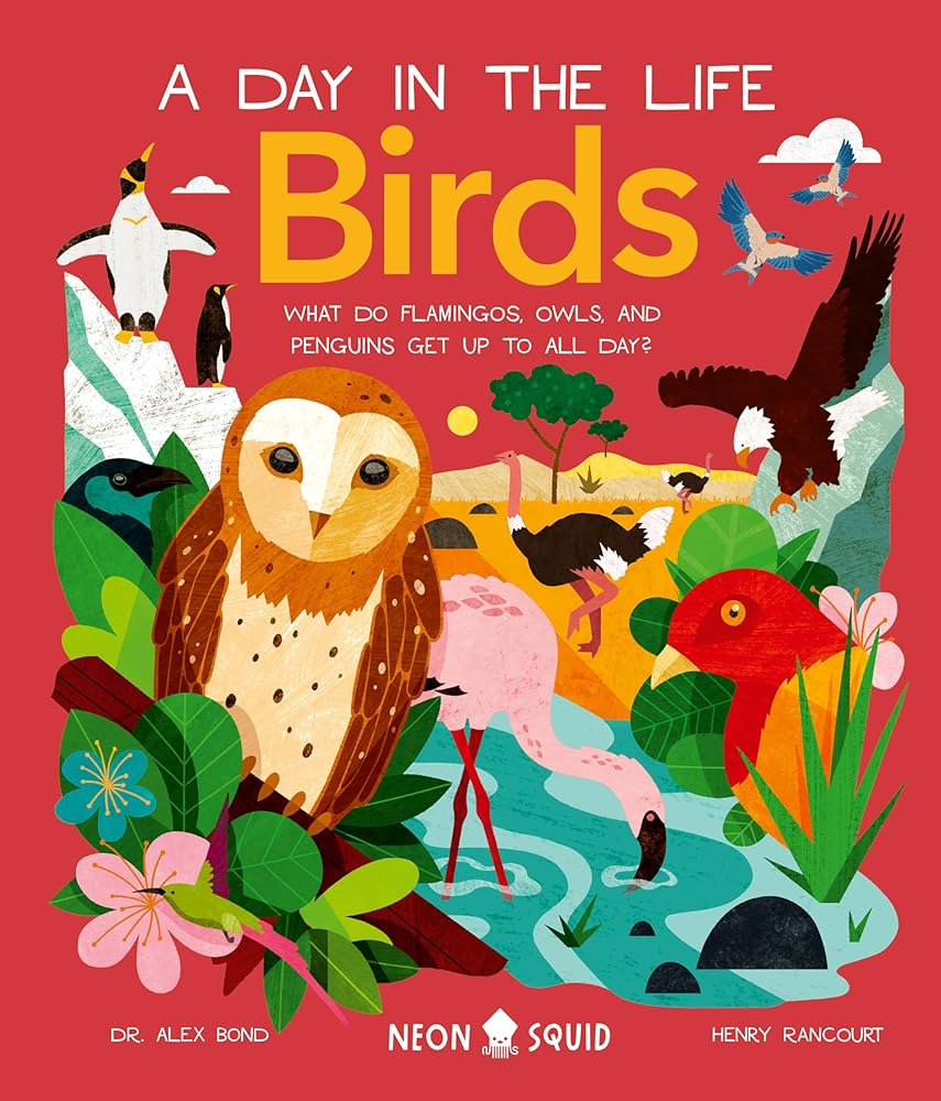 Birds (A Day in the Life): What Do Flamingos, Owls, and Penguins Get Up To All Day? cover image