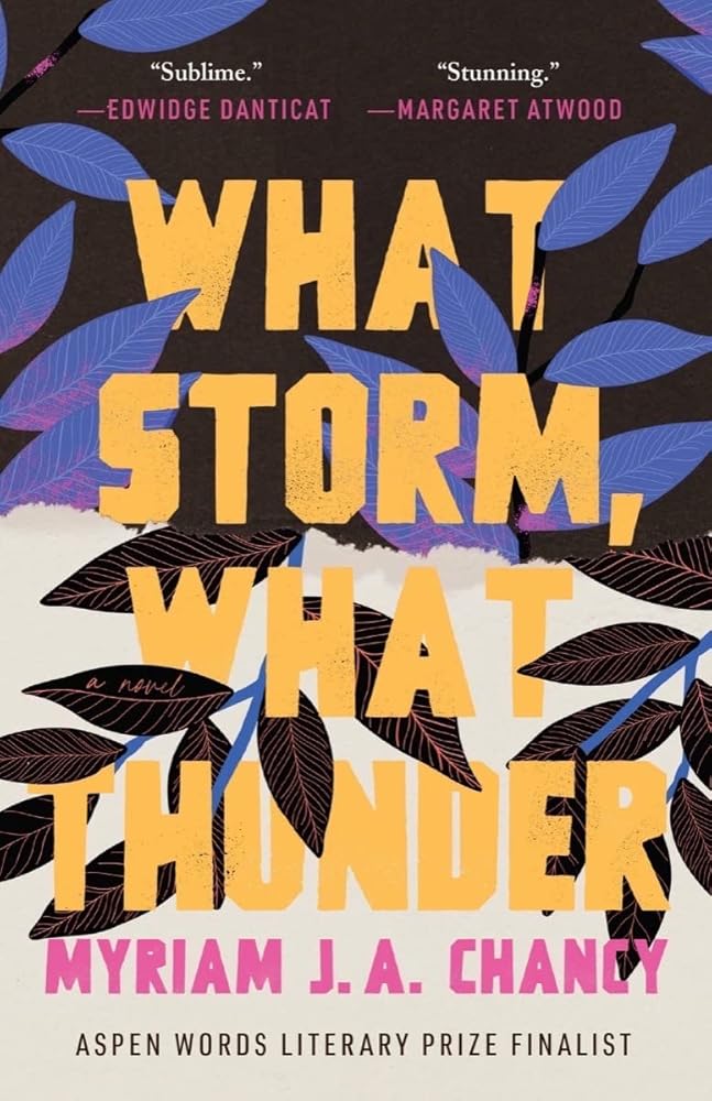 What Storm, What Thunder cover image