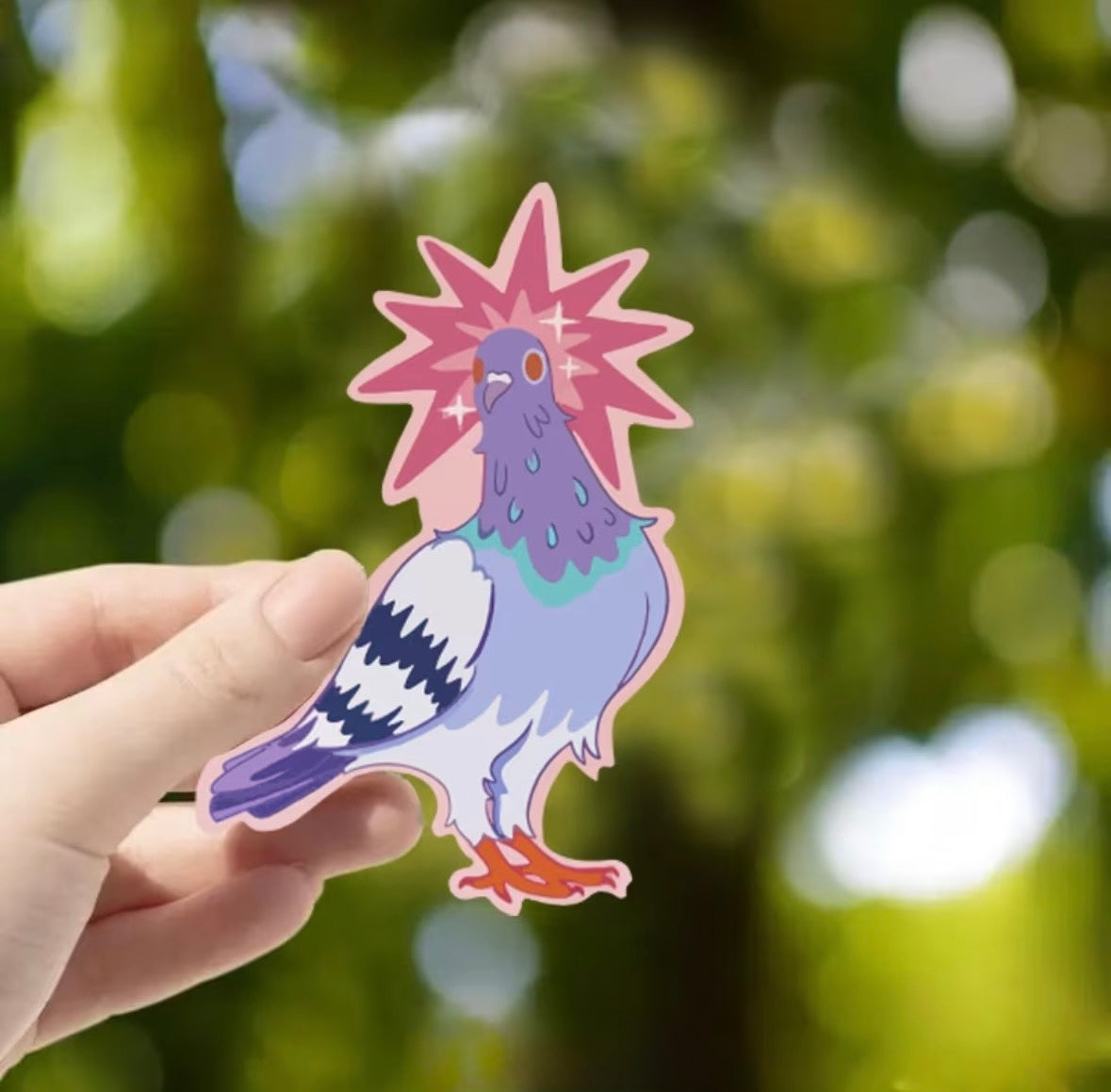 Fancy pigeon sticker